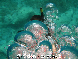 try to dive for a first time by Sidon Kovacevic 